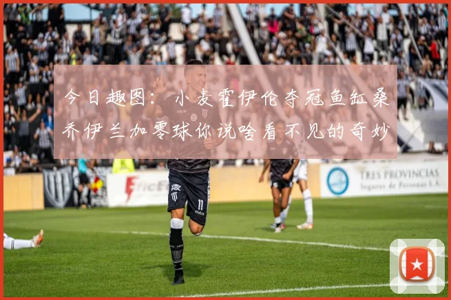 今日趣图：小麦霍伊伦夺冠鱼缸桑乔伊兰加零球你说啥看不见的奇妙瞬间