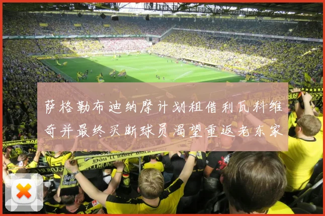 萨格勒布迪纳摩计划租借利瓦科维奇并最终买断球员渴望重返老东家